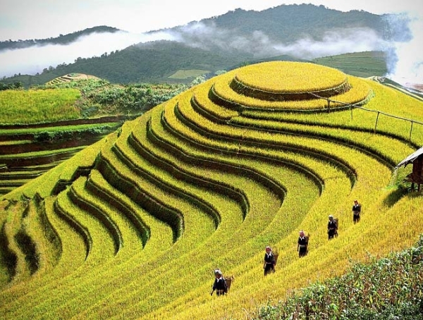 BỎ TÚI TRỌN BỘ KINH NGHIỆM DU LỊCH TÂY BẮC SIÊU THÚ VỊ BỎ TÚI TRỌN BỘ KINH NGHIỆM DU LỊCH TÂY BẮC SIÊU THÚ VỊ