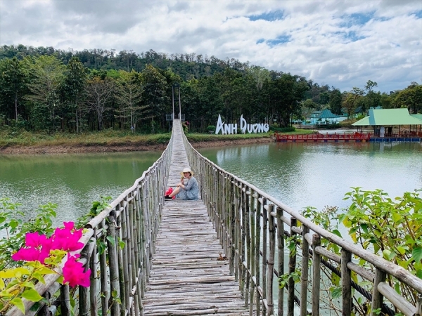 Cầu Treo Dây Văng